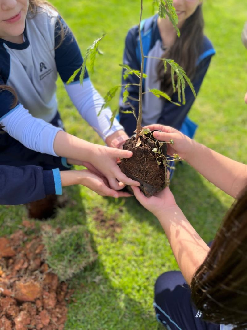 Com os plantios realizados ao longo dos anos, o projeto já ultrapassa a marca de 19 mil mudas plantadas em diferentes regiões de Santa Catarina.