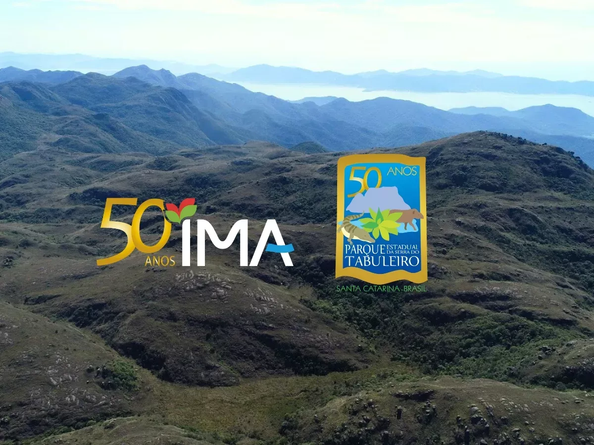 Com a doação das mudas, o Grupo ND reafirma seu compromisso em agir de forma responsável e sustentável, contribuindo para a preservação da biodiversidade e para o fortalecimento da cultura ambiental no Estado